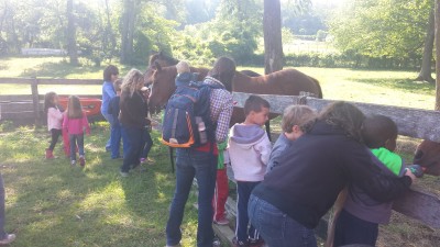 Farm Tours